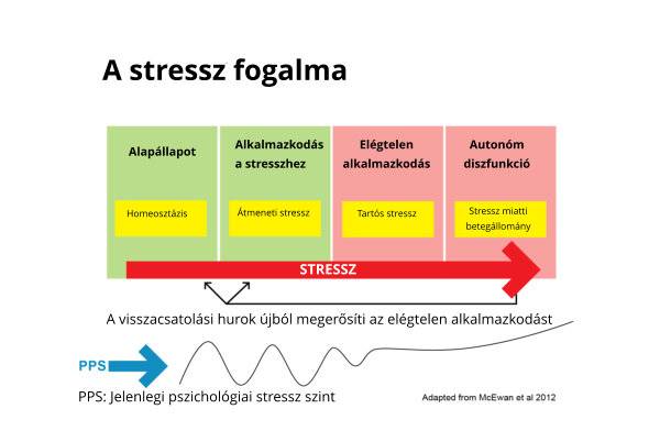 A stressz fogalma